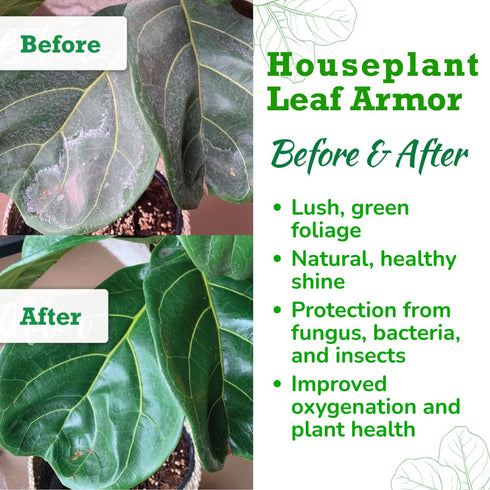 Leaf Armor Spray for Houseplants, Protects Against Fungal Spots, Gentle Natural Formula, 8 oz Made in USA
