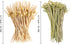 WixiTool 120 200PCS 120PCS 14 oz Disposable Charcuterie Cups PCS with Sticks and Bags, Kraft Paper Snack Boxes