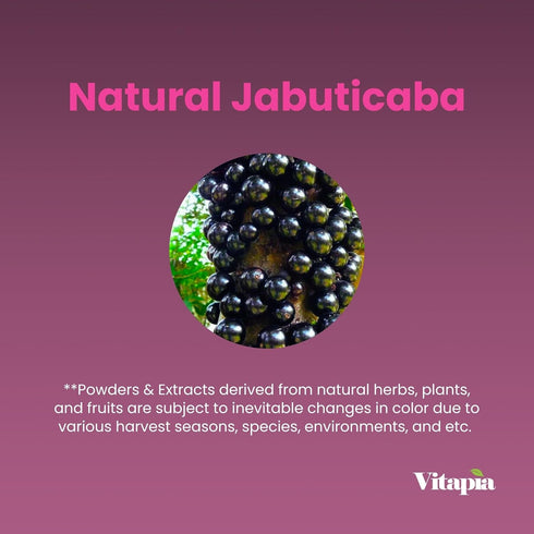 Jabuticaba Fruit Powder Supplement - 1500mg Antioxidant, Better Lung Health, Digestion, Immune Support - 180 Vegan