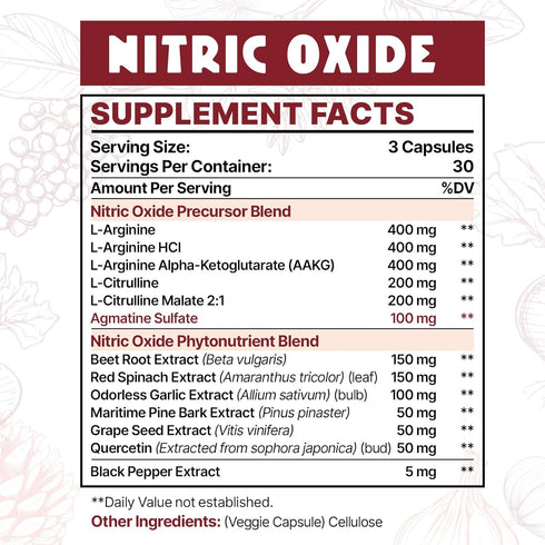 Nitric Oxide Supplement for Men, 2,255mg Per Serving – 13 in 1 Nitric Oxide Precursor & Nitric Oxide Phytonutrients Complex with L-Arginine & L-Citrulline - 90 Capsules (1 Pack)