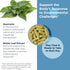 Designs for Health Quercetin + Nettle Supplement, 90 Vegan Capsules