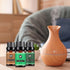 SOUQDWL Oils,6pcsx 10ml Set Essential Nature Fragrance Oil Pure Essential Oils Kit