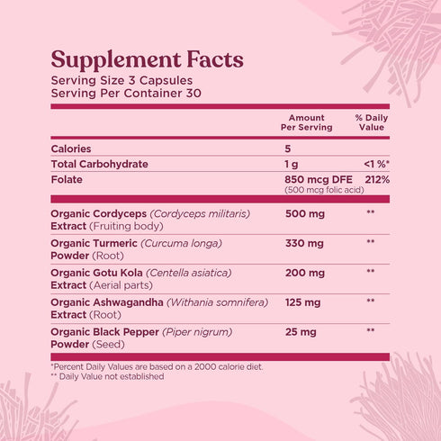 Four Sigmatic Memory Capsules, Nootropic Memory Supplement for Brain Support with Cordyceps Mushroom, Gotu Kola,