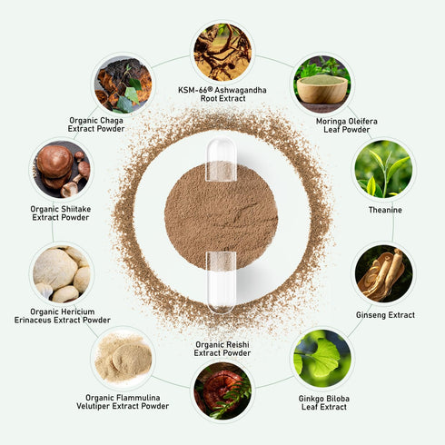 KSM-66 Immune 60 GlowEver Ashwagandha Supplements with L-Theanine Moringa Organic Mushrooms Complex Ginseng Ginkgo