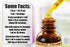 Saw Palmetto Alcohol-Free Liquid Extract, Organic Saw Palmetto (Serenoa Repens) Dried Berry Glycerite, 2 fl. oz, Hawaii
