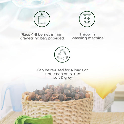 Soap Nuts Berries for Laundry, 330 Loads, 2.2 lbs, Hypoallergenic & Unscented, Natural Eco-Friendly Detergent
