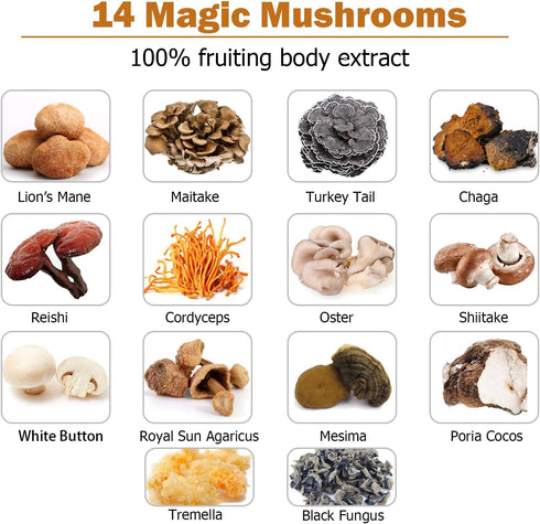 14 Mushrooms Supplement 120 Capsules - Immune System Booster & Nootropic Brain Supplement with Black Pepper