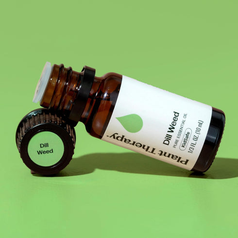 Plant Therapy Dill Weed Essential Oil 10 mL (1/3 oz) 100% Pure, Therapeutic Grade