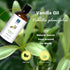 Vanilla Essential Oil 200ML, Natural Scented Oil for Aromatherapy & Diffuser - 100ML (Pack of 2)