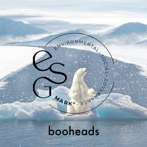 Packaging, 4 Pack (Polish4) booheads Bamboo Electric Toothbrush Heads Sonicare Compatible Replacement Brush Heads, Eco