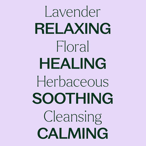 Plant Therapy Lavender Essential Oil, 100% Pure, 10 mL (1/3 oz) for Aromatherapy and Body Care