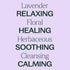 Plant Therapy Lavender Essential Oil, 100% Pure, 10 mL (1/3 oz) for Aromatherapy and Body Care