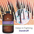 Lavender Essential Oil - Huge 4 FL OZ - 100% Pure & Natural – Premium Natural Oil with Glass Dropper Essential Oil