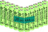 1.2V AAA 300mAh Ni-MH Rechargeable Batteries for Solar Lights, 20 Packs