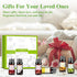 10Pcs Fruity Fragrance Oil Set for Candle Making, Freshie Scents, Coconut, Cherry, Apple, Strawberry, Mango