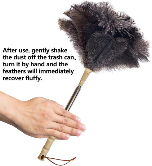 Aldwin Ostrich Feather Duster with Extension Pole, Up to 43 inch, Genuine Reusable Handheld Cleaning Duster