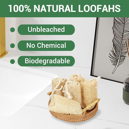 Natural Loofah Sponge Organic Exfoliating Body Scrubber, 6 Pack for Men and Women