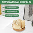 Natural Loofah Sponge Organic Exfoliating Body Scrubber, 6 Pack for Men and Women