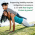 Garden of Life Raw Organic Protein & Greens - Vegan Protein Powder for Women & Men, Plant Protein, Pea Protein, Greens