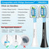 Toothbrush Replacement Heads for Philips Sonicare, 6 White and 6 Black