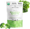 Sprout Living Organic Broccoli and Kale Sprout Mix, Freeze Dried Superfood Greens Powder, 100% Pure, Vegan, Non-GMO,