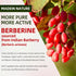 Berberine Gummies with Ceylon Cinnamon 1500mg, High Potency Berberine HCL Supplement for Immune and Metabolism Support