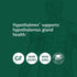 Standard Process Hypothalmex - Whole Food Brain Support with Magnesium Citrate and Calcium - 60 Tablets