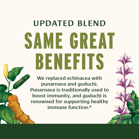 Banyan Botanicals Immune Strong – Organic Supplement with Turmeric & Tulsi, 90 Tablets, Non-GMO Vegan