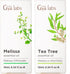 Melissa Essential Oil for Diffuser & Tea Tree Oil for Skin Set