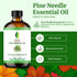 SVA Pine Needle Essential Oil, 4 Fl Oz, 100% Natural for Diffuser, Hair Care, Aromatherapy, Soap Making