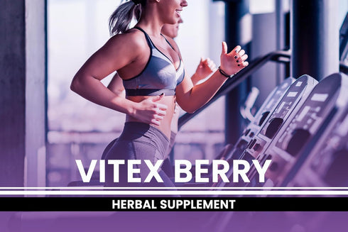 PURE ORIGINAL INGREDIENTS (365 Vitex Berry (Chasteberry) Capsules) No Magnesium Or Rice Fillers, Always Pure, Lab
