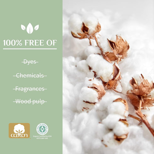 Organyc 100% Certified Organic Cotton Flat Panty Liner - Light Flow+, 24 Count, Free from Chemicals