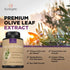 Premium Olive Leaf Extract Capsules, 750mg, 120 Capsules, Supports Immune System & Cardiovascular Health