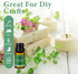 Essential Oils Blends Set for Diffusers, Aromatherapy Oil Scents - Calming, Sweet Dreams, 6x10ml