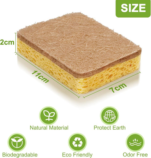 Yolaist 12 Pack Non-Scratch Scrub Sponge, Natural Kitchen Sponges for Cleaning Kitchen, Scratch Free Biodegradable