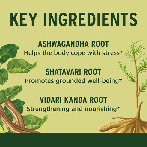 Thoughts-90 Banyan Botanicals Organic Healthy Vata Grounding & Stability Supplementwith Ashwagandha, Shatavari