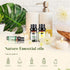 Set, (32 5ml) Essential Oils Aromatherapy Essential Oil Kit for Diffuser, Humidifier, Massage, Skin Care x
