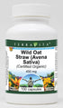 Terravita Wild Oat Straw (Avena Sativa) (Certified Organic) - 450 mg (100 Capsules,