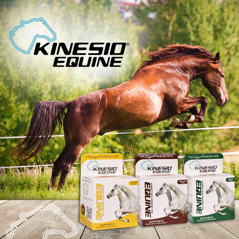 Kinesio Equine Tape - Tex Gold FP Horse Tape, 2”x 16’ Roll, Made Specifically for Horses