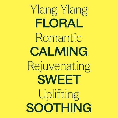 Plant Therapy Ylang Ylang Complete Essential Oil 10 mL (1/3 oz) | 100% Pure, Undiluted, Natural Aromatherapy,