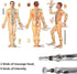 Zeerkeer 3-in-1 Electronic Acupuncture Pen for Pain Relief, Powerful Meridian Energy Massage Pen