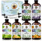 Essential Oil Set - Six Bottles (4 oz/120 ml) of Lavender, Peppermint,