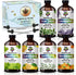 Essential Oil Set - Six Bottles (4 oz/120 ml) of Lavender, Peppermint,