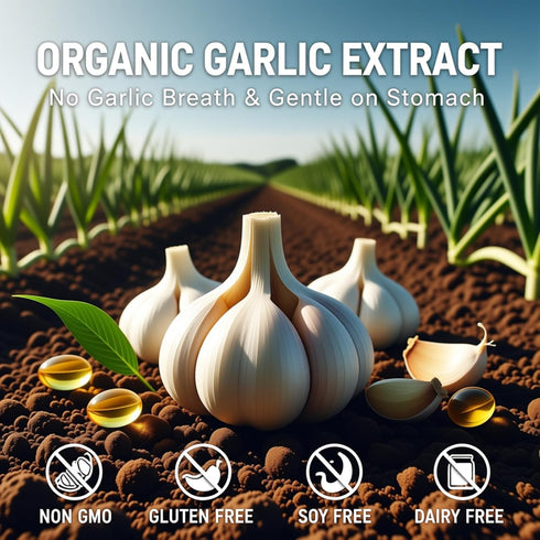 YLOTRE 7500mg Immune 300 (1) Elare Aged Garlic Extract, Organic Garlic Capsules Supplement, Potent Heart & Support