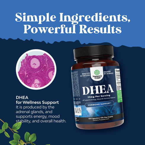 Pure DHEA 25mg for Women and Men - High Absorption Hormone Balance Supplement, 4 Month Supply