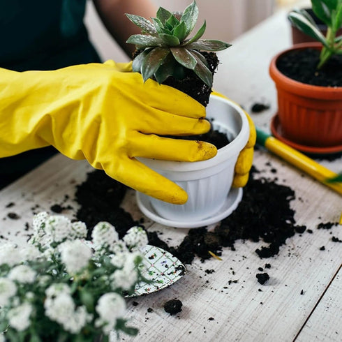 Reusable Dishwashing Gloves for Kitchen Use