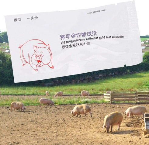 Sow Pregnancy Test Strips for Accurate Pig Pregnancy Diagnosis