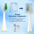 Replacement Toothbrush Heads for Waterpik Complete Care 5.0/9.0 (CC-01/WP-861), 10 Count, White, with Covers