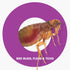 BOP Bed Bug, Flea and Tick Killer, 16.5 oz Pest Control Spray, Kills Bugs On Contact, Indoor/Outdoor Use for Quick