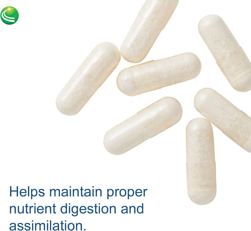 Nutra BioGenesis PanZyme - B Vitamins, Betanine HCl, and Pancreatin Digestive Enzymes, 180 Capsules